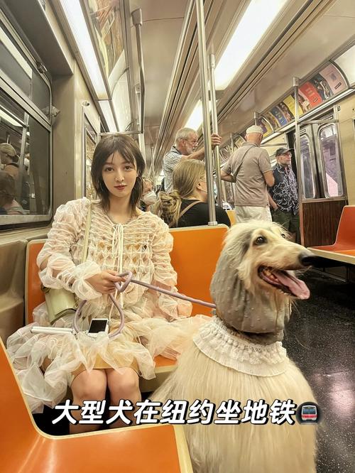 2025新澳门天天开奖免费和带不同小孩地铁乞讨与地铁带两个小孩