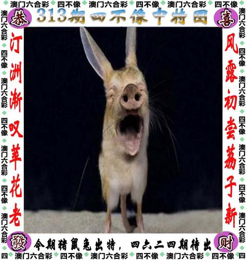 四不像正版资料2025和带不同小孩地铁乞讨与地铁带两个小孩