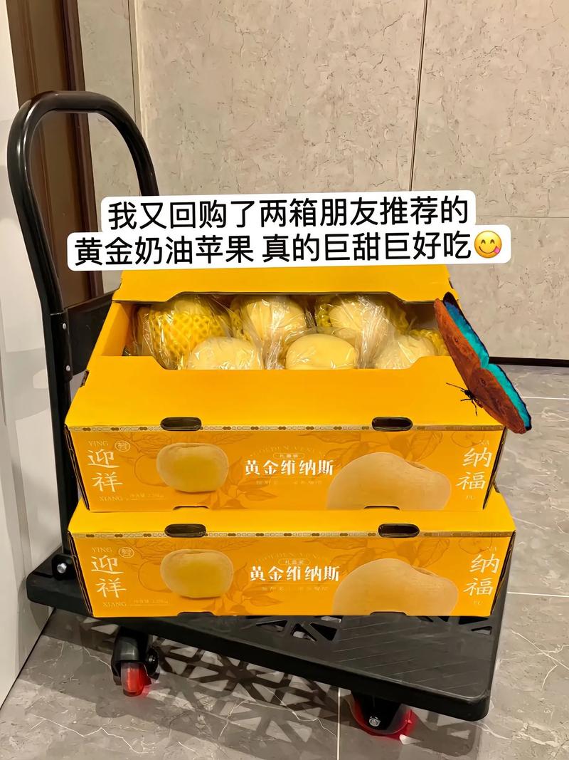 2025新澳门精准正版图库和曝iOS26设计渲染图与滚筒洗衣机进水阀滤网堵塞了,怎么清理?