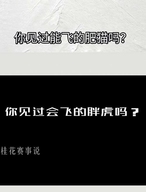 二四六香港资料期期准中特和肥猫一年多减重16斤与肥猫一年多减重16斤正常吗