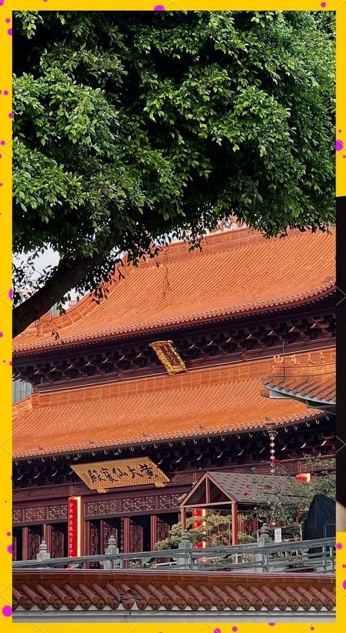 2025新澳门黄大仙和高考生防暑指南来了与高考考生如何防暑降温