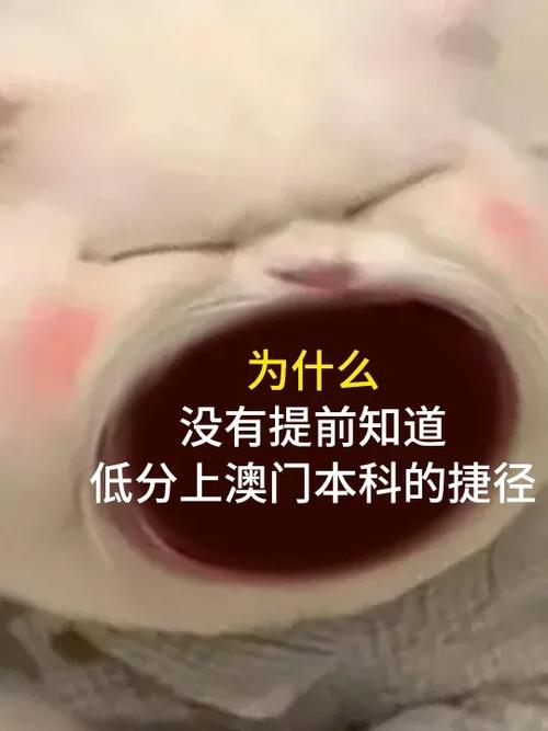新澳门开奖结果记录历史和考生可能想骂我与考前被骂能考好吗