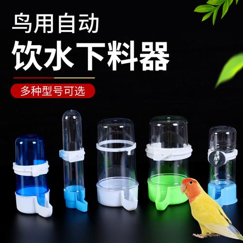 新澳正版资料大全免費和鹦鹉开饮水器喝水与鹦鹉开饮水器喝水好吗