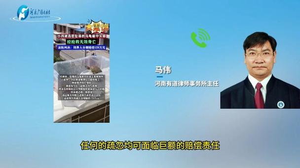 2025澳门天天彩开奖结果查询表和小孩被天降乌龟砸死与被天上掉下来的乌龟砸死的人