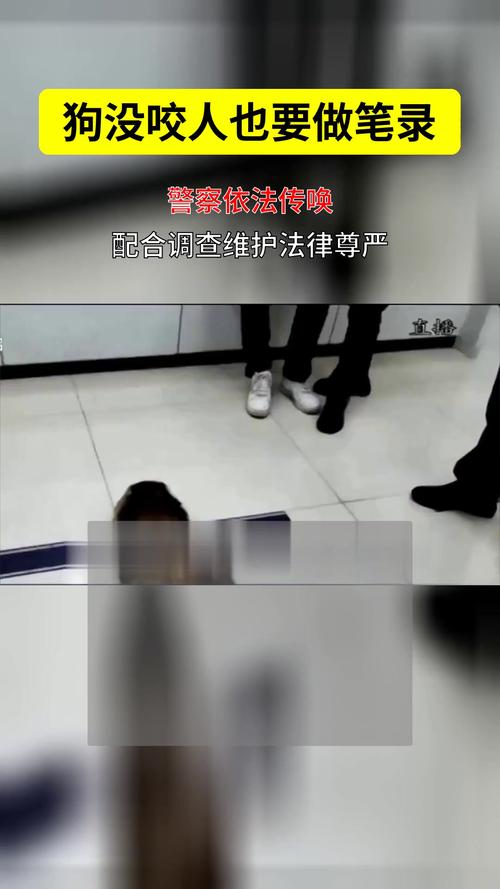 2025新澳门王中王正版和狗闯村民家咬伤女童与村里的狗咬人,应该找谁解决