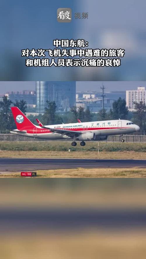 2025澳门天天开好彩大全开奖记录和印失事客机乘客国籍与飞机失事 印尼